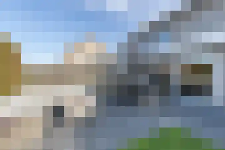 Bonkelaar 17 Smilde thumbnail 35