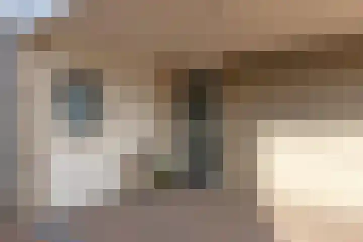 Bonkelaar 17 Smilde thumbnail 4