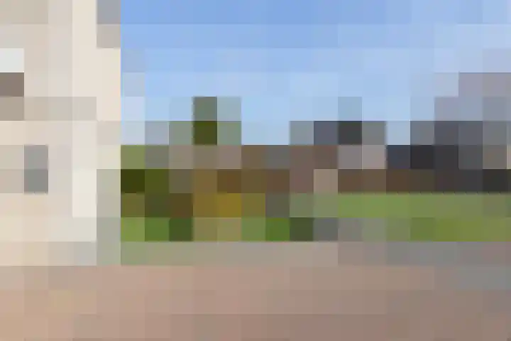 Bonkelaar 17 Smilde thumbnail 40