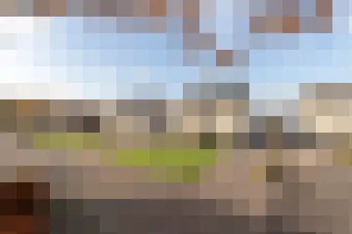 Bonkelaar 17 Smilde thumbnail 42