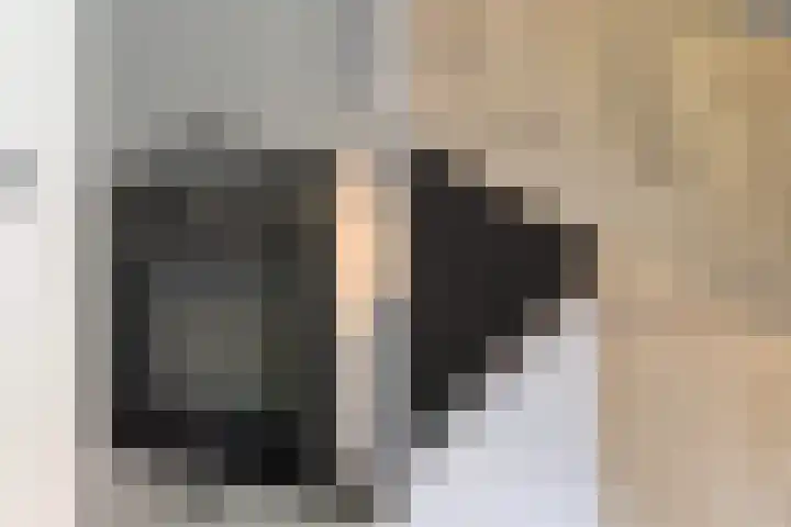 Bonkelaar 17 Zoeterwoude thumbnail 11