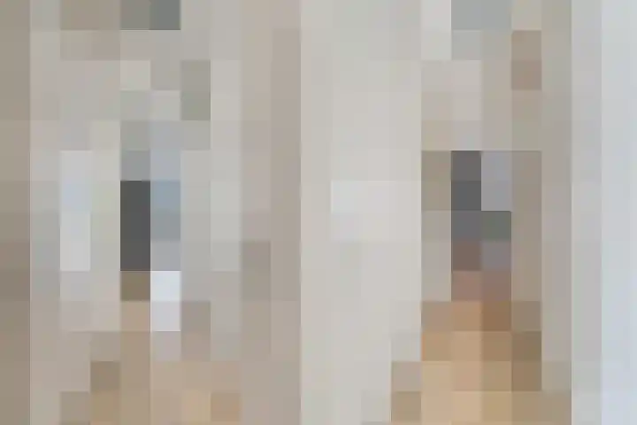 Bonkelaar 17 Zoeterwoude thumbnail 13