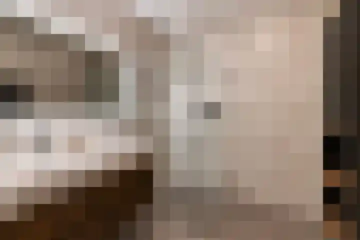 Bonkelaar 17 Zoeterwoude thumbnail 18