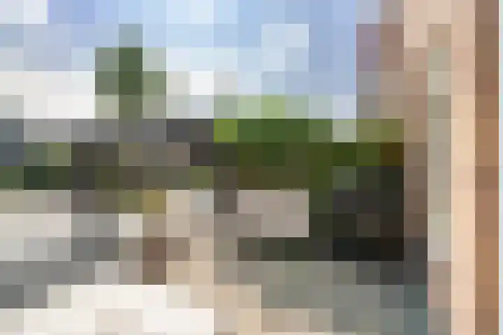 Bonkelaar 17 Zoeterwoude thumbnail 22