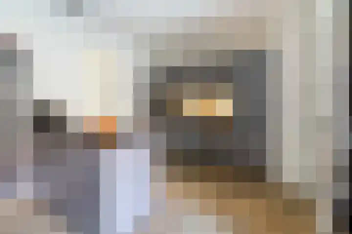 Bonkelaar 17 Zoeterwoude thumbnail 8