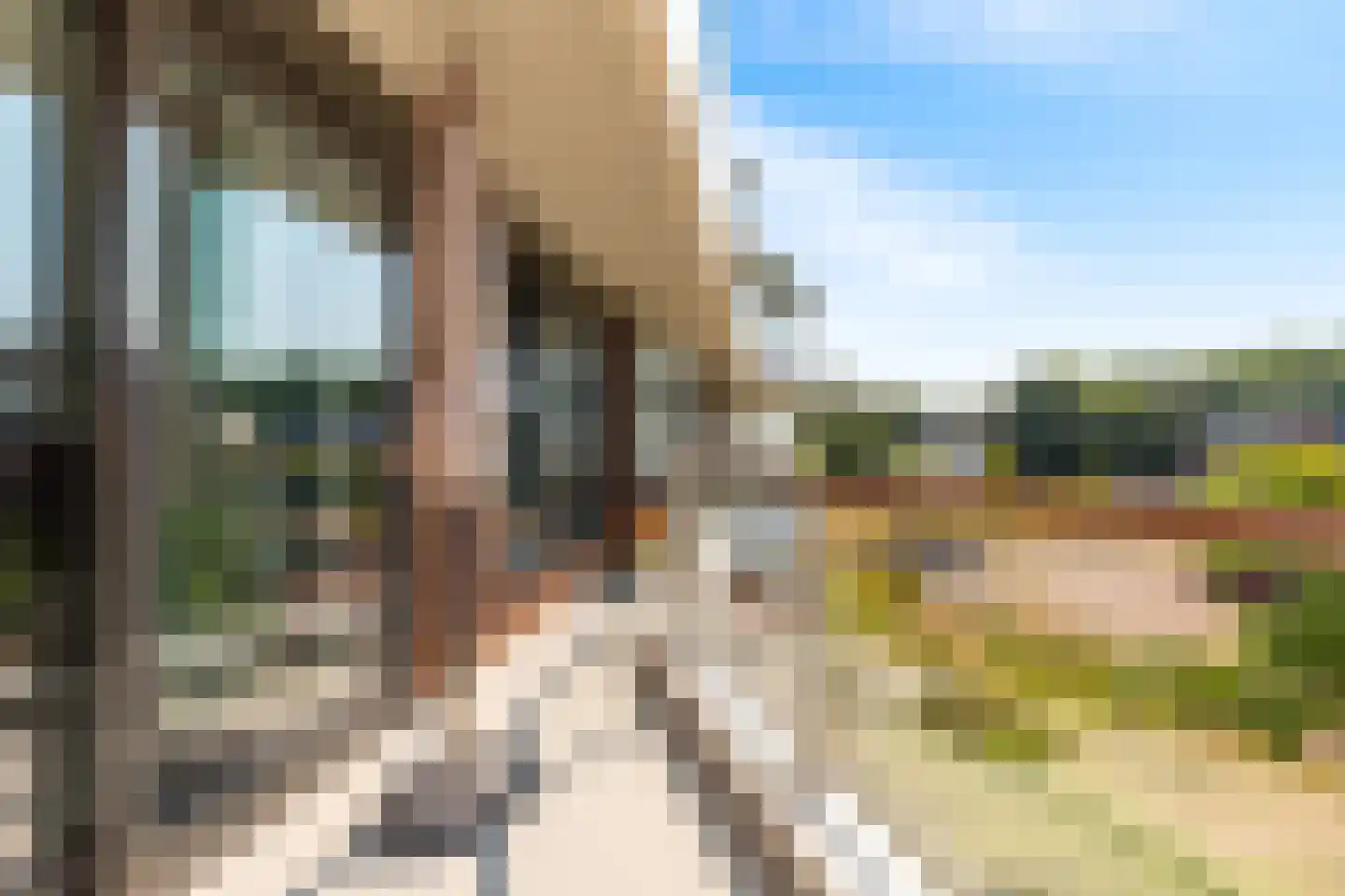 Bonkelaar 19 Heiloo thumbnail 14