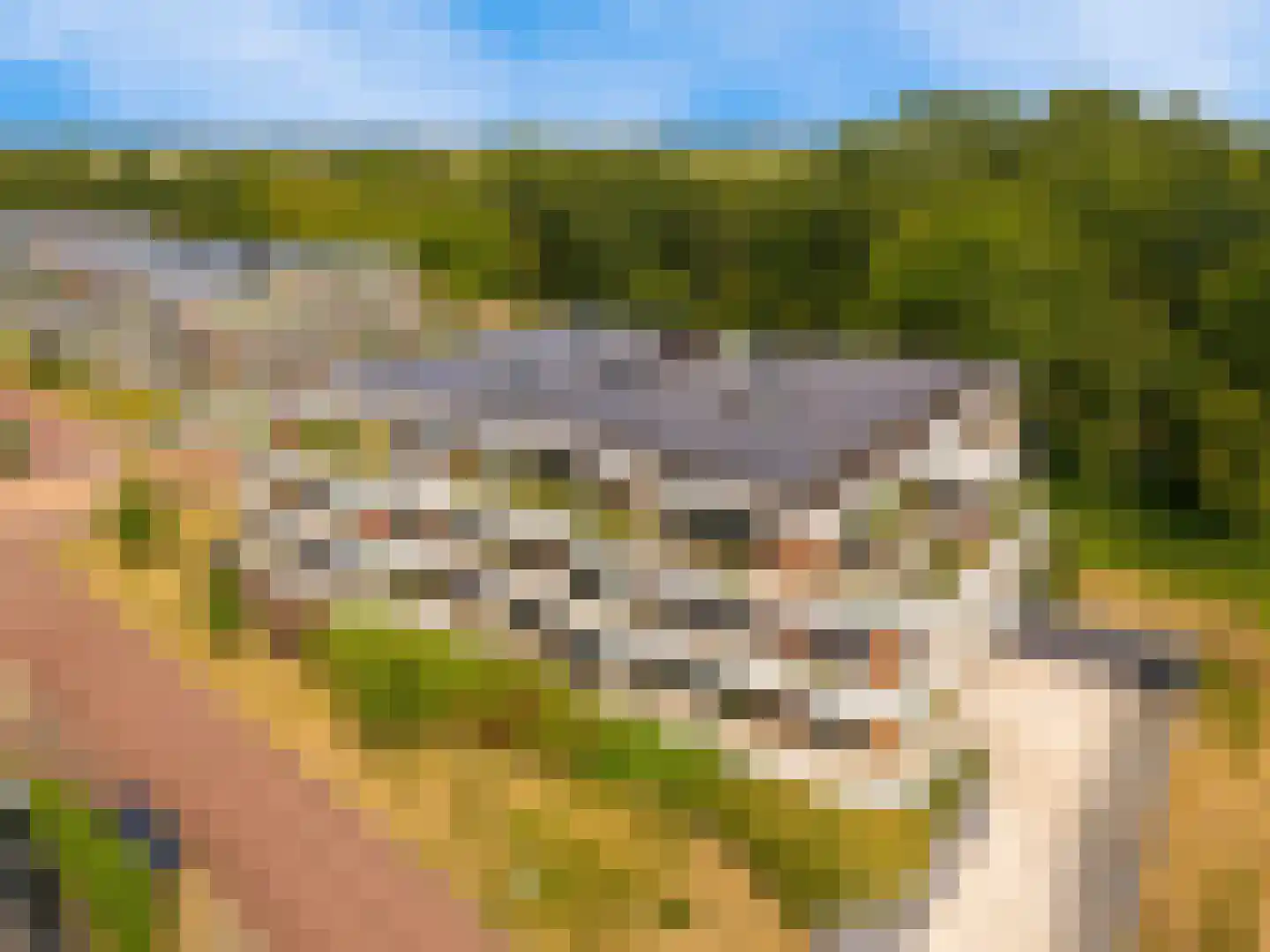 Bonkelaar 19 Heiloo thumbnail 32
