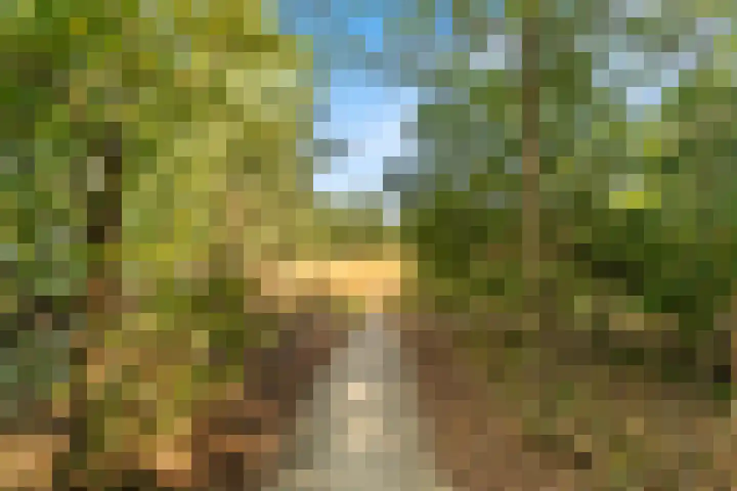 Bonkelaar 19 Heiloo thumbnail 37