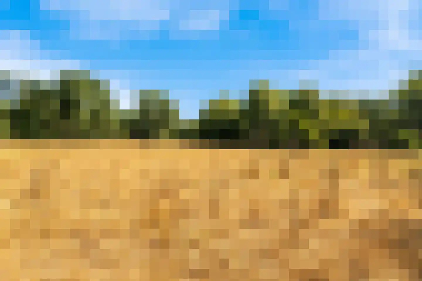Bonkelaar 19 Heiloo thumbnail 38