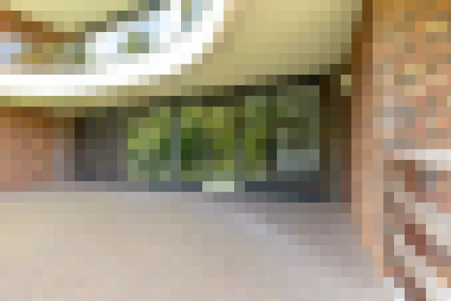 Bonkelaar 19 Heiloo thumbnail 7