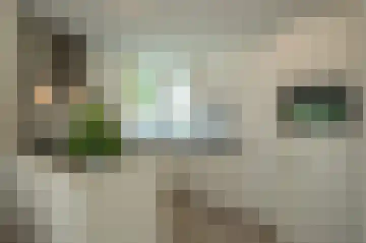 Bonkelaar 2 Mijdrecht thumbnail 11