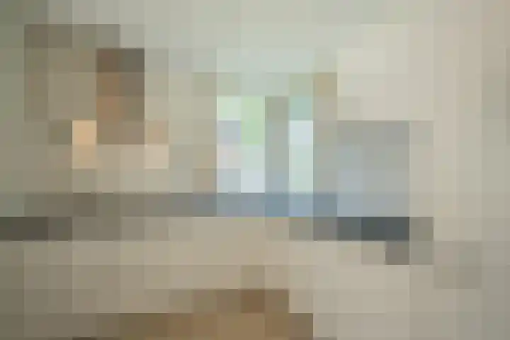 Bonkelaar 2 Mijdrecht thumbnail 12