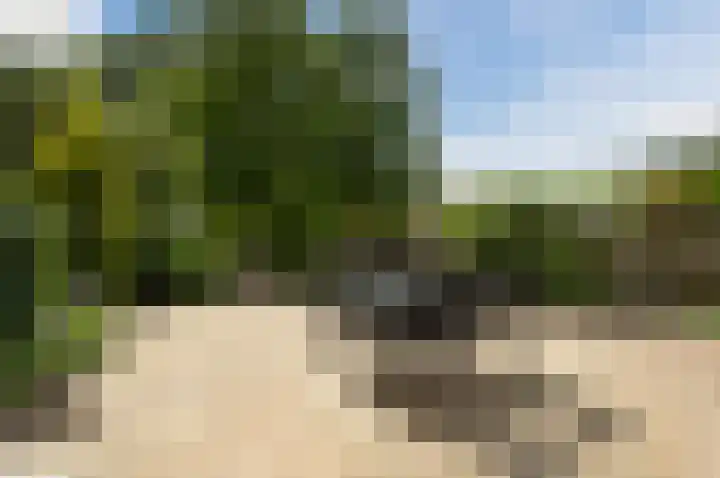 Bonkelaar 2 Mijdrecht thumbnail 29
