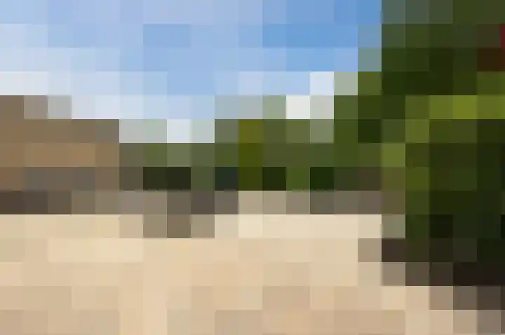 Bonkelaar 2 Mijdrecht thumbnail 30