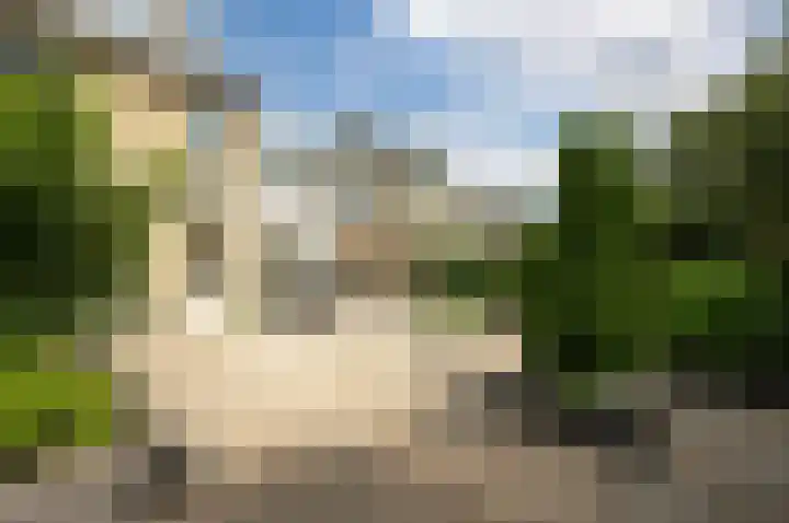 Bonkelaar 2 Mijdrecht thumbnail 31