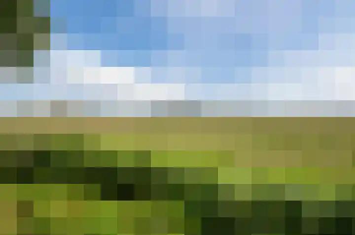Bonkelaar 2 Mijdrecht thumbnail 37