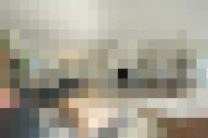 Bonkelaar 2 Mijdrecht thumbnail 6