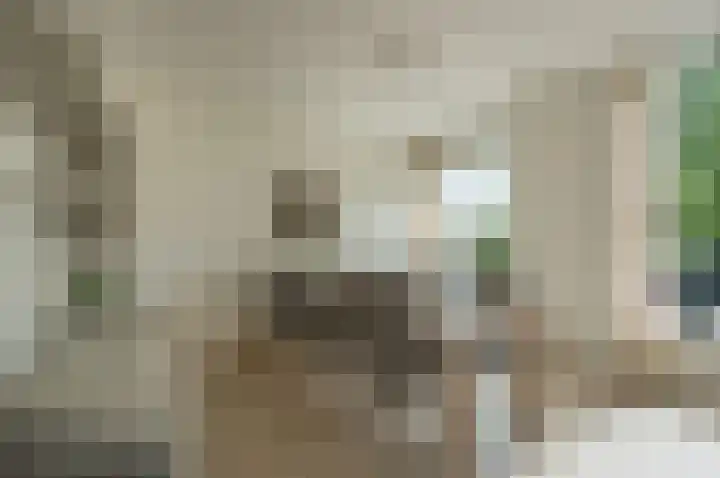 Bonkelaar 2 Mijdrecht thumbnail 8