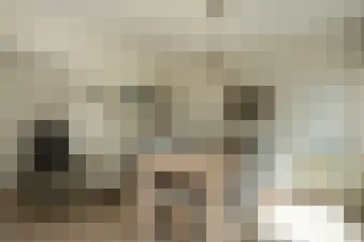 Bonkelaar 2 Mijdrecht thumbnail 9
