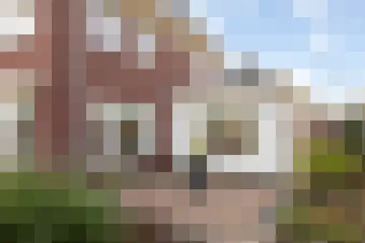 Bonkelaar 2 Raalte thumbnail 13