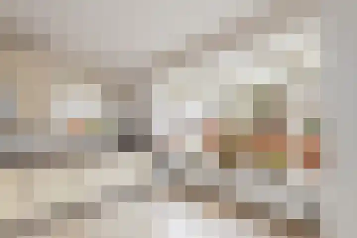 Bonkelaar 2 Raalte thumbnail 14