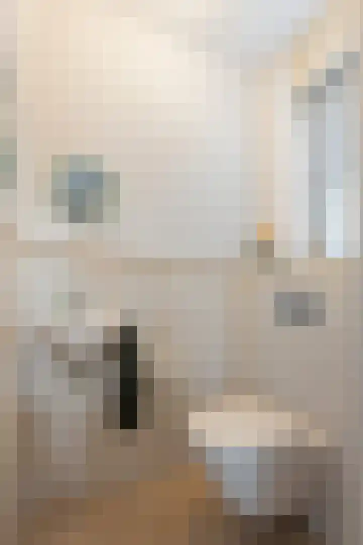 Bonkelaar 2 Raalte thumbnail 21