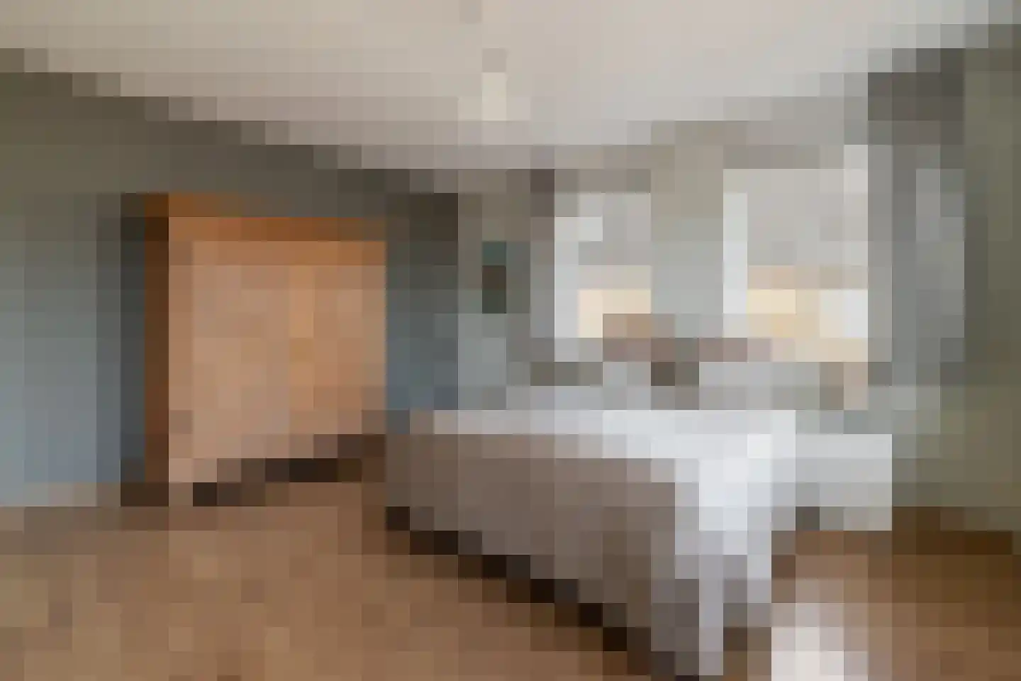 Bonkelaar 2 Raalte thumbnail 25