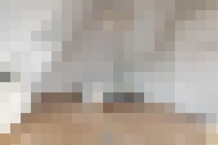 Bonkelaar 2 Raalte thumbnail 25