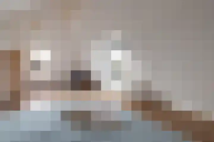 Bonkelaar 2 Raalte thumbnail 26