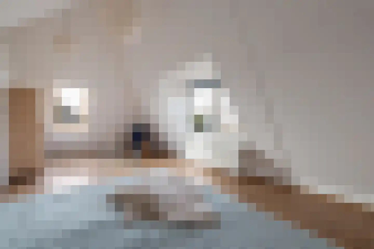 Bonkelaar 2 Raalte thumbnail 29