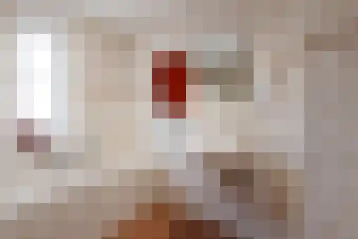 Bonkelaar 2 Raalte thumbnail 30