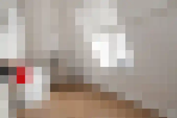 Bonkelaar 2 Raalte thumbnail 37