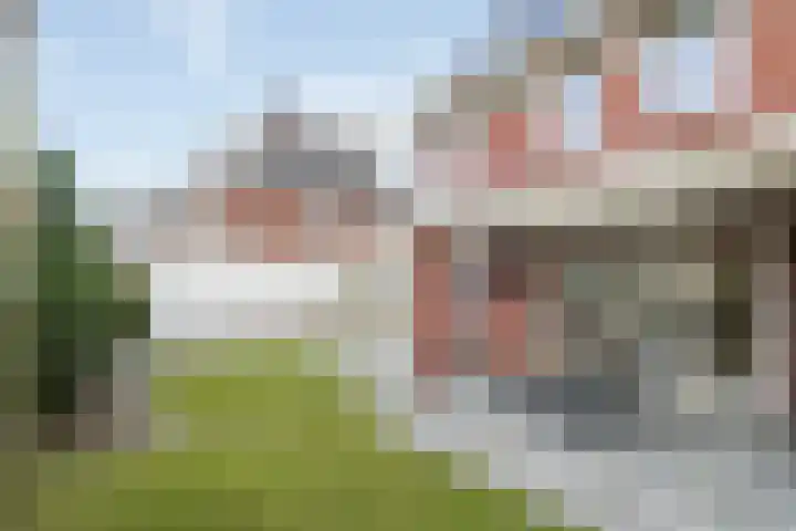 Bonkelaar 2 Raalte thumbnail 38