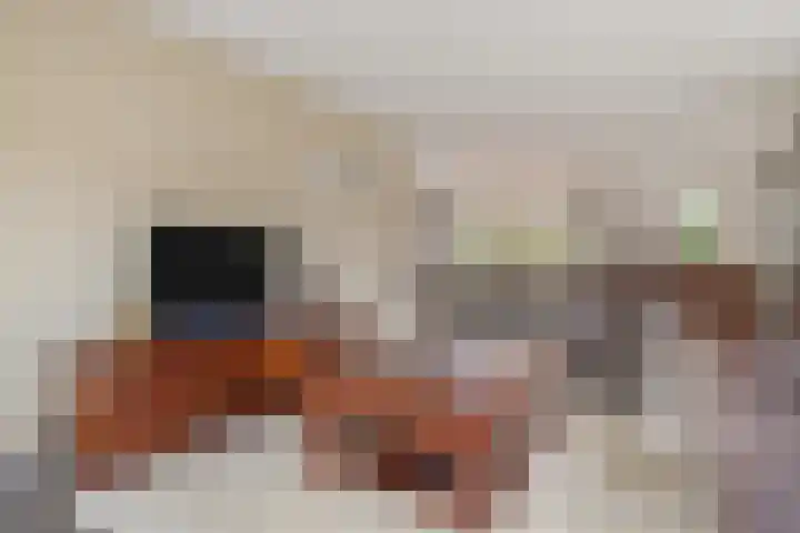 Bonkelaar 2 Raalte thumbnail 4