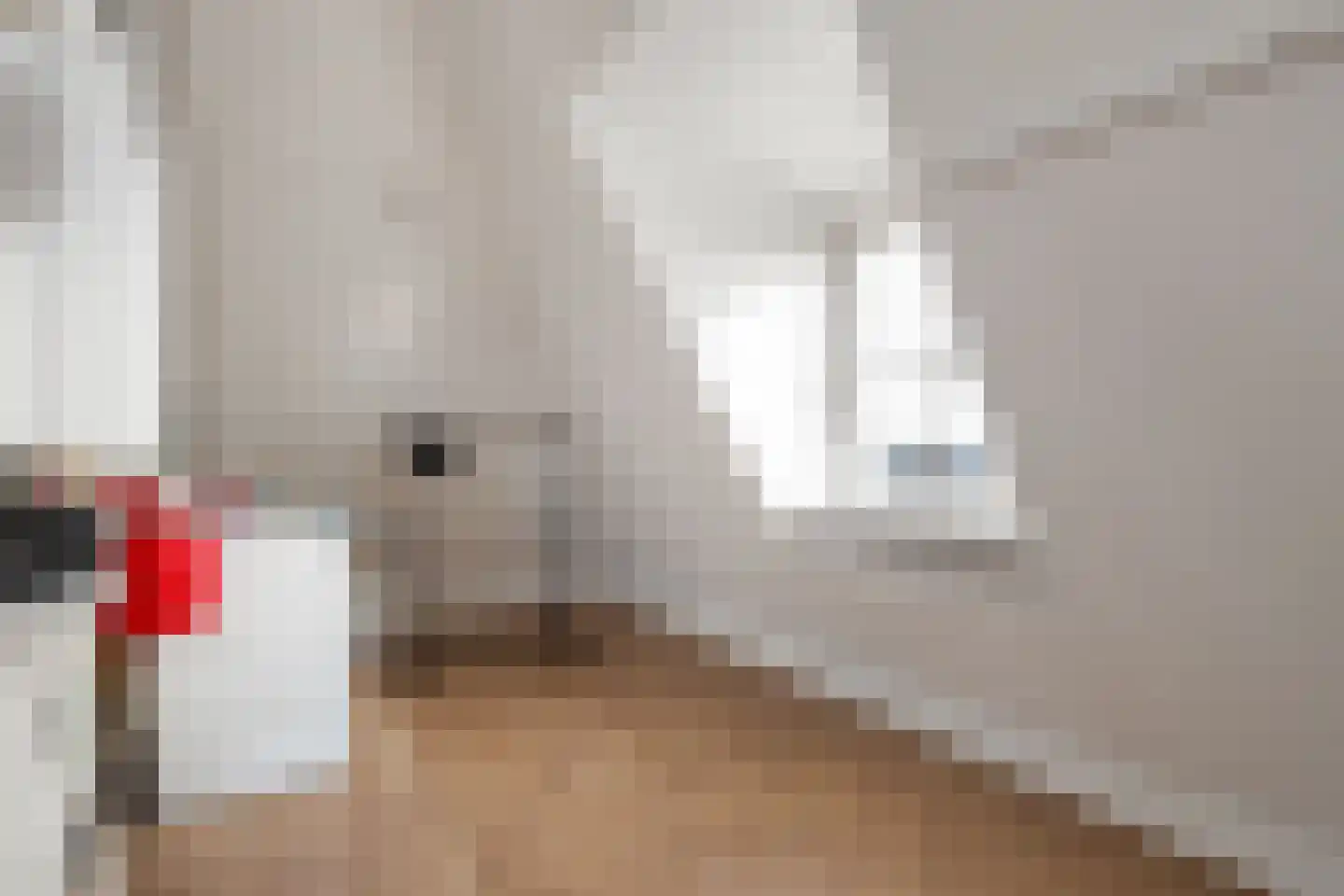 Bonkelaar 2 Raalte thumbnail 40
