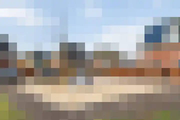 Bonkelaar 2 Raalte thumbnail 46