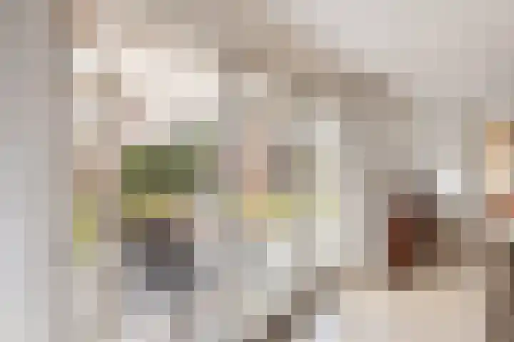 Bonkelaar 2 Raalte thumbnail 8