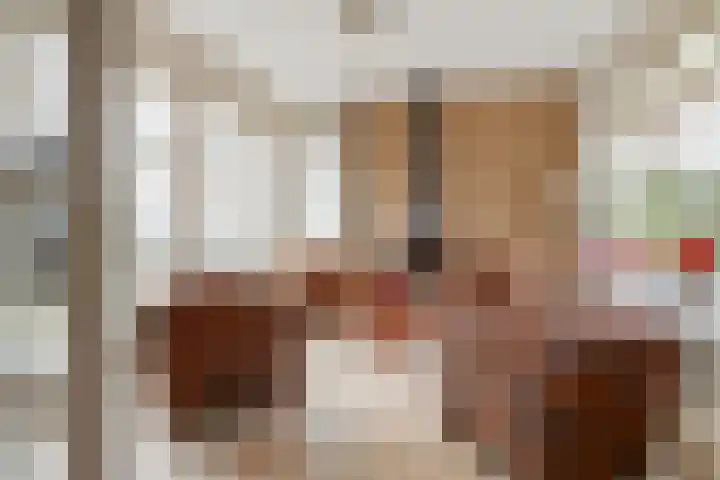 Bonkelaar 2 Raalte thumbnail 9