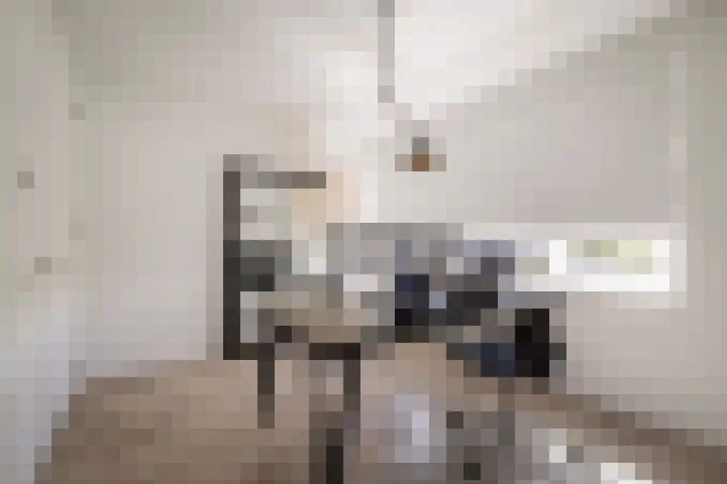 Bonkelaar 22 Heiloo thumbnail 21