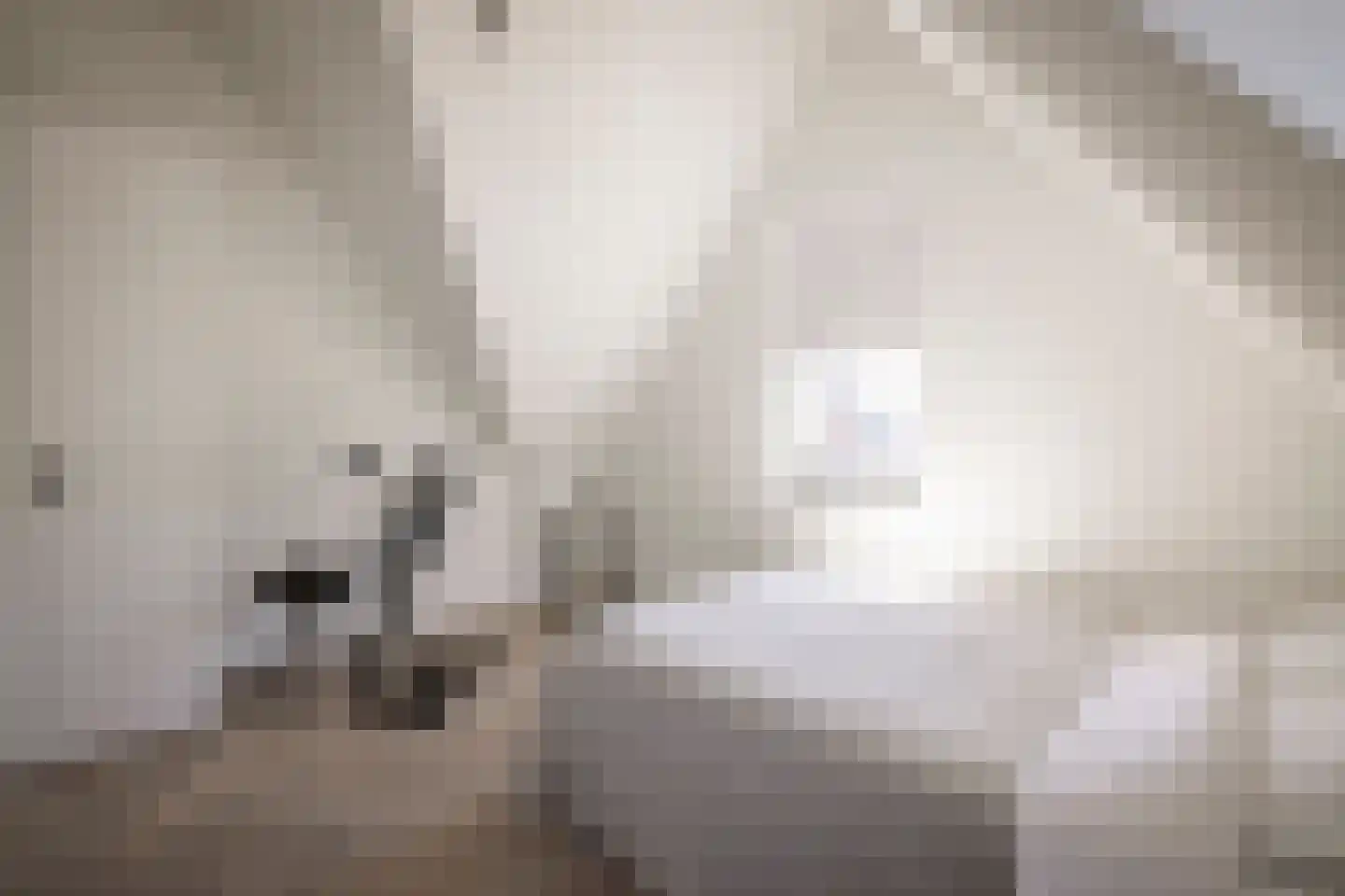 Bonkelaar 22 Heiloo thumbnail 28