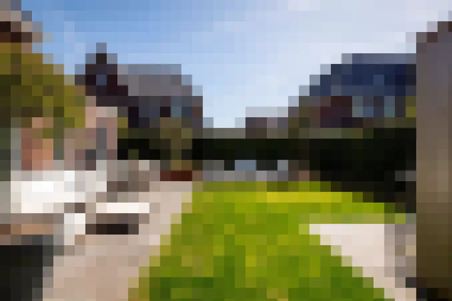 Bonkelaar 22 Heiloo thumbnail 34