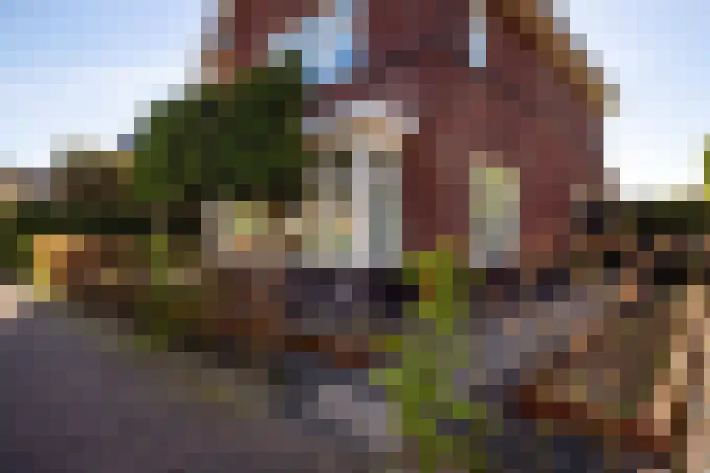 Bonkelaar 22 Heiloo thumbnail 37