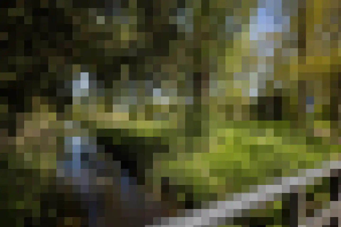 Bonkelaar 22 Heiloo thumbnail 41