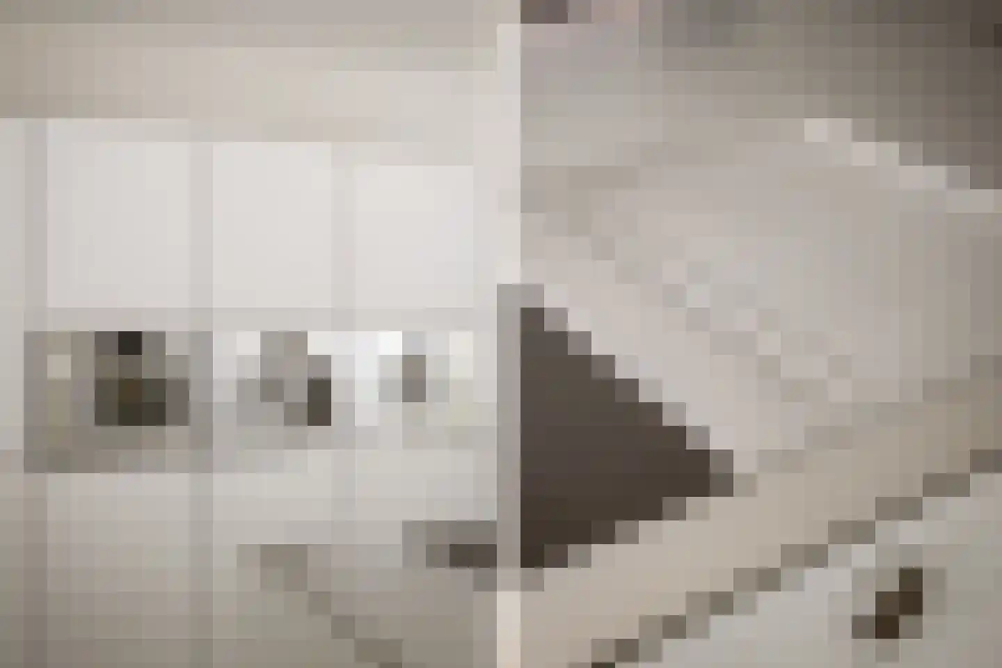 Bonkelaar 22 Heiloo thumbnail 8