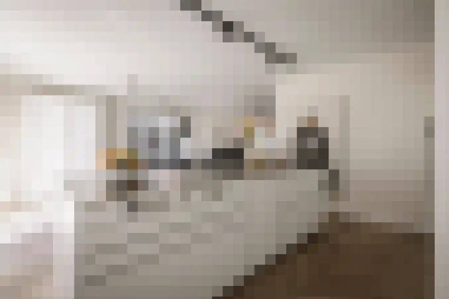Bonkelaar 22 Heiloo thumbnail 9