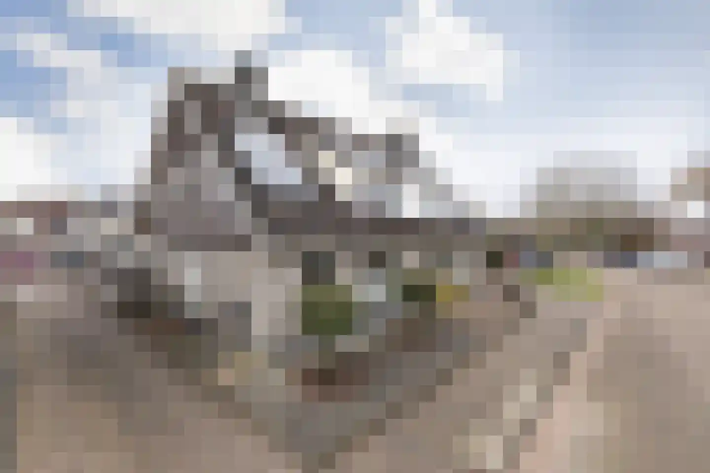 Bonkelaar 26 Sneek