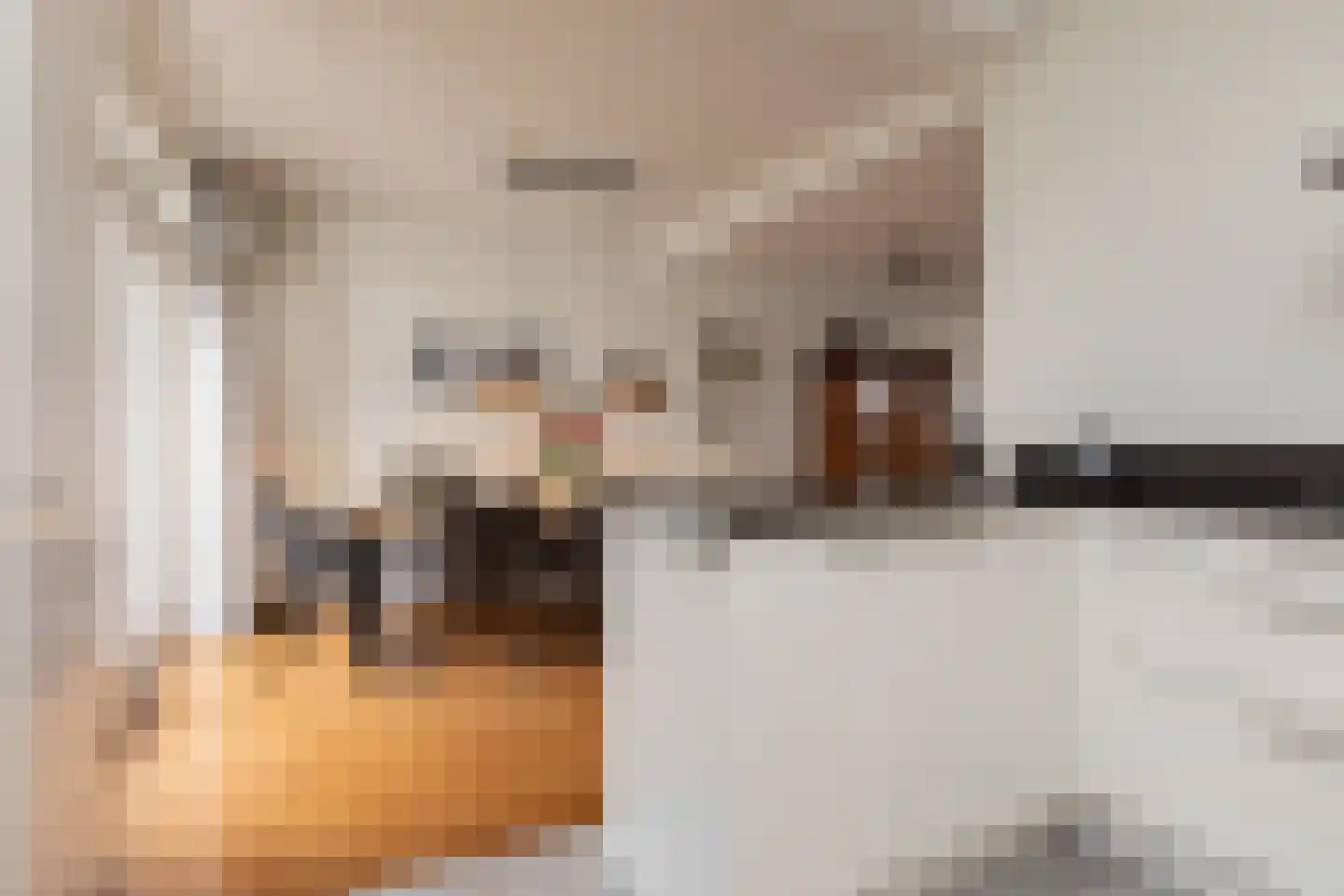 Bonkelaar 26 Sneek thumbnail 13