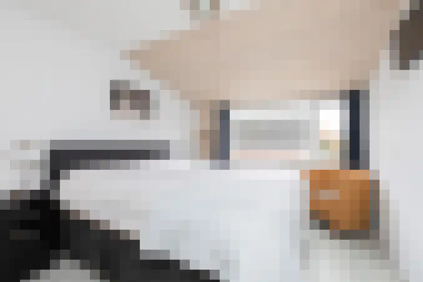 Bonkelaar 26 Sneek thumbnail 22