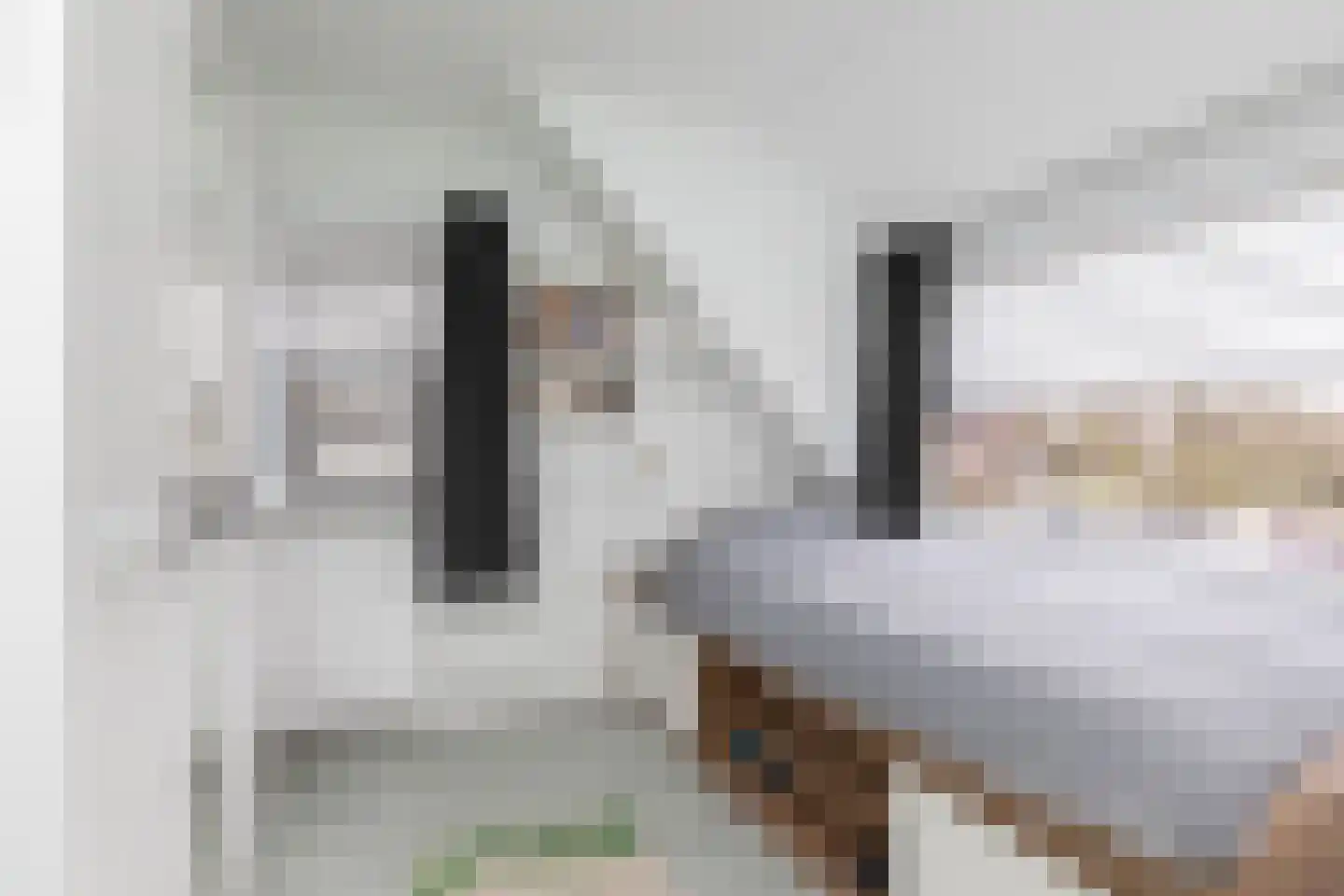 Bonkelaar 26 Sneek thumbnail 24