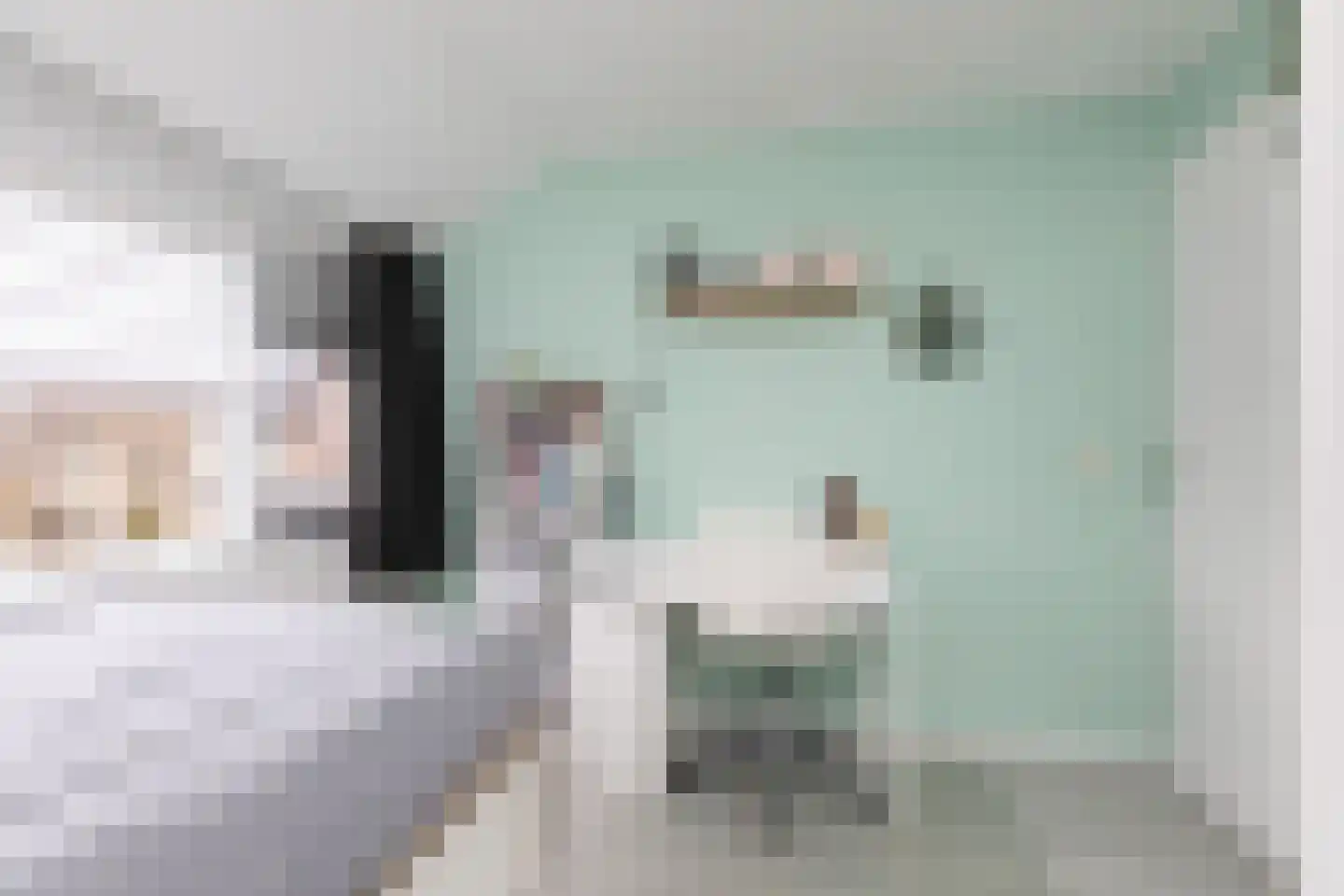 Bonkelaar 26 Sneek thumbnail 25